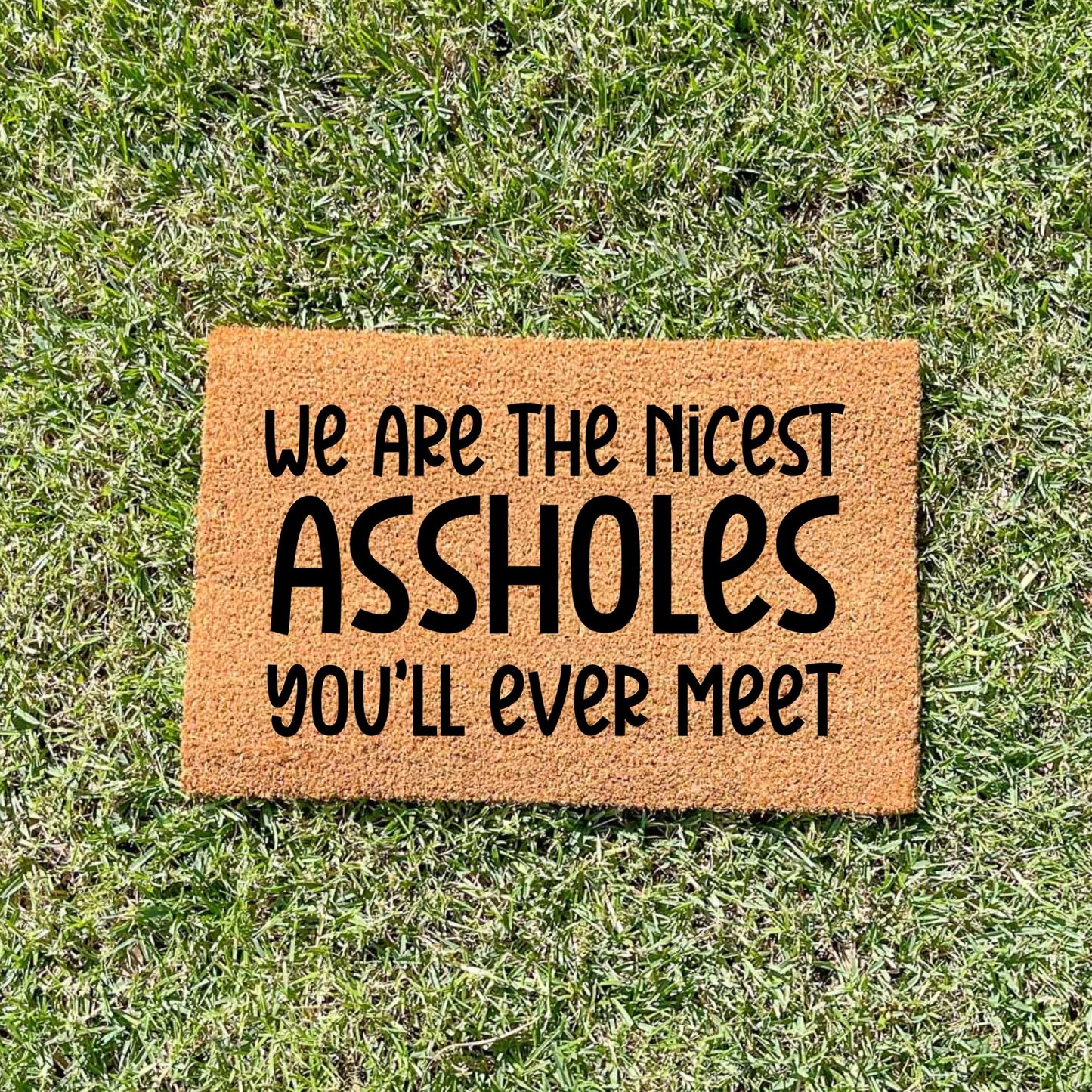 We're the nicest assholes doormat, unique doormat, custom doormat, personalised doormat