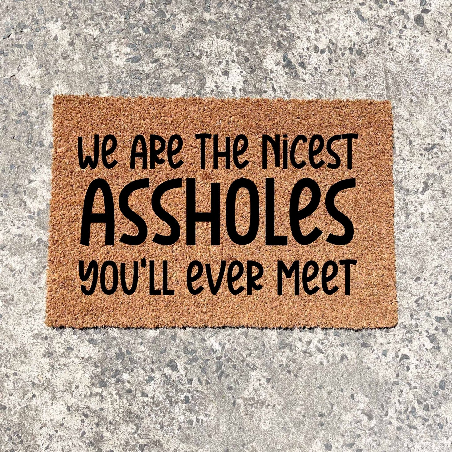 We're the nicest assholes doormat, unique doormat, custom doormat, personalised doormat