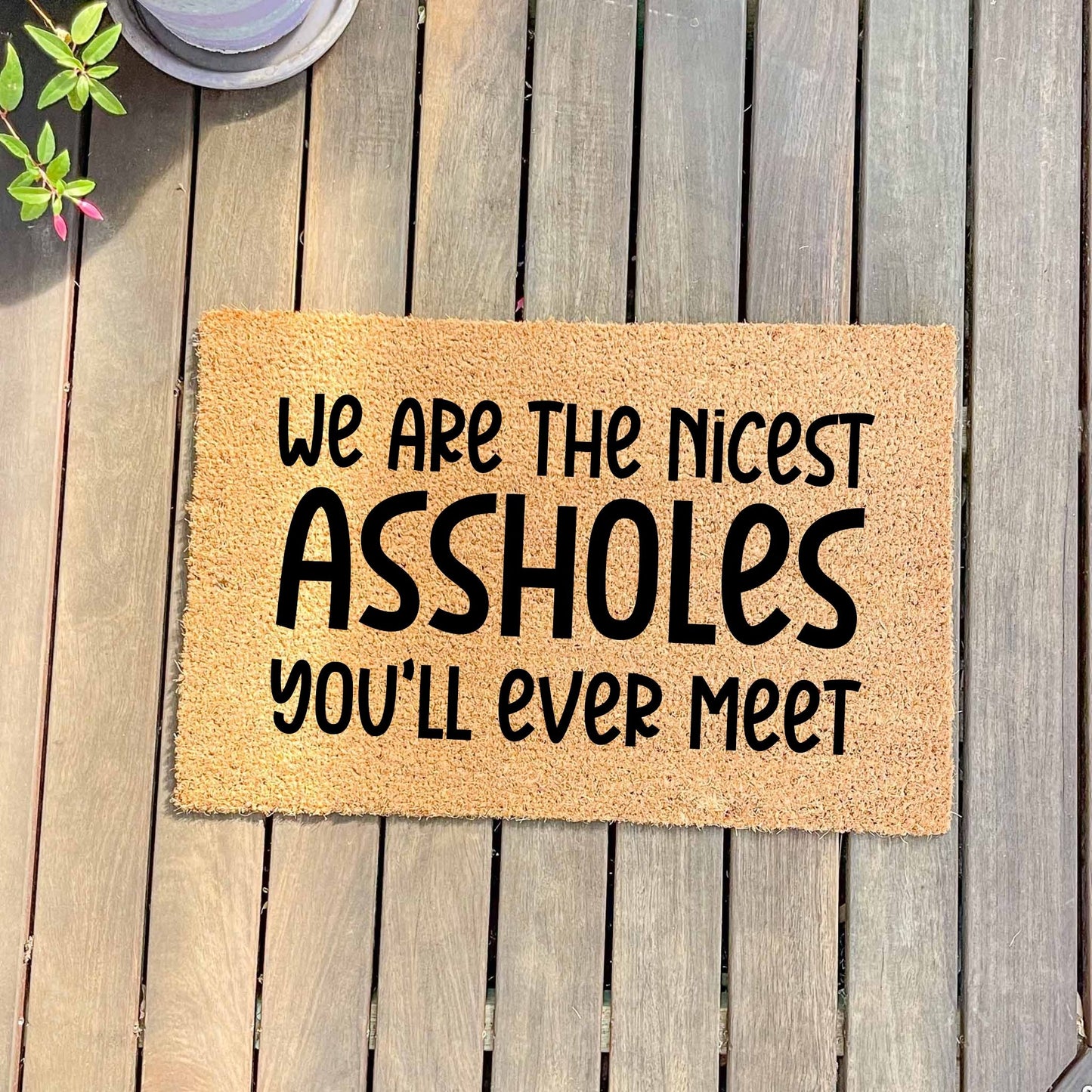 We're the nicest assholes doormat, unique doormat, custom doormat, personalised doormat