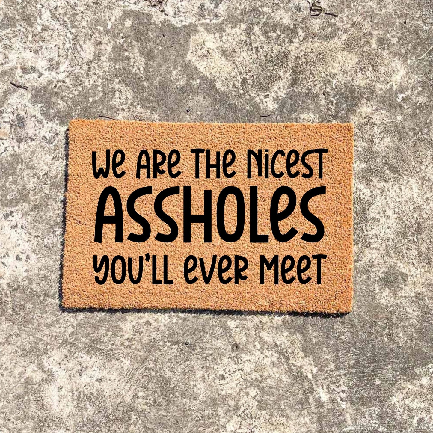 We're the nicest assholes doormat, unique doormat, custom doormat, personalised doormat