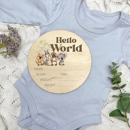 Birth announcement sign, baby birth sign, personalised baby plaque, birth plaque, newborn gift