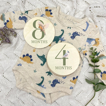 Floral milestone cards, baby milestone discs, boho nursery, aesthetic nursery, beige nursery