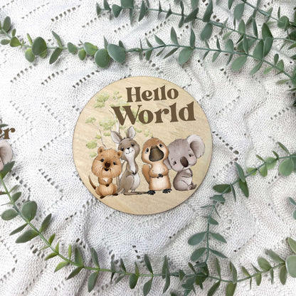 Aussie Animals newborn milestone discs, baby milestones, Aussie Animals, koala, kangaroo, kookaburra