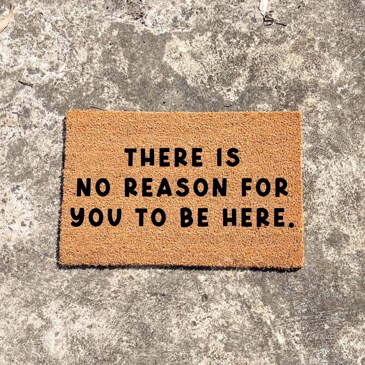 There is no reason for you to be here doormat, custom doormat, personalised doormat, door mat