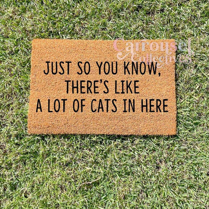 Just so you know, there's a lot of cats in here doormat, custom doormat, personalised doormat, door mat