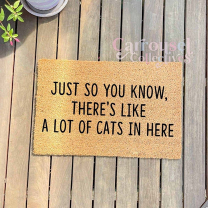 Just so you know, there's a lot of cats in here doormat, custom doormat, personalised doormat, door mat