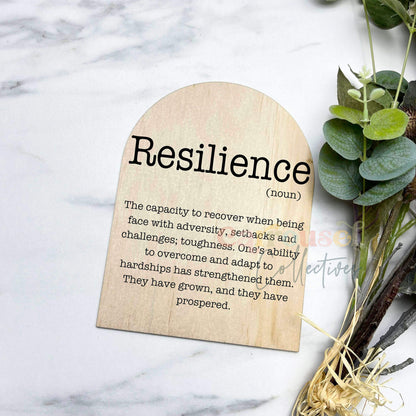 Resilience Definition prints, funny definitions, great gift ideas, S40