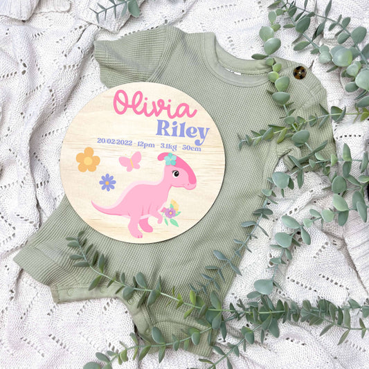 Baby birth stats sign, baby announcement disc, Dinosaurs, cute dinosaurs, girls nursery