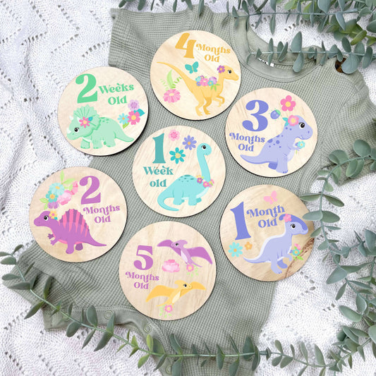 Dinosaurs newborn milestone discs, baby milestones, Dinosaurs, cute dinosaurs, girls nursery