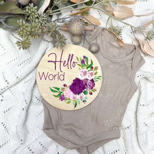 Hello World sign, baby announcement disc, floral nursery, flowers, girls room