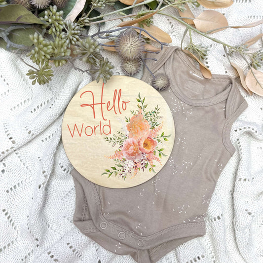 Hello World sign, baby announcement disc, floral nursery, flowers, girls room
