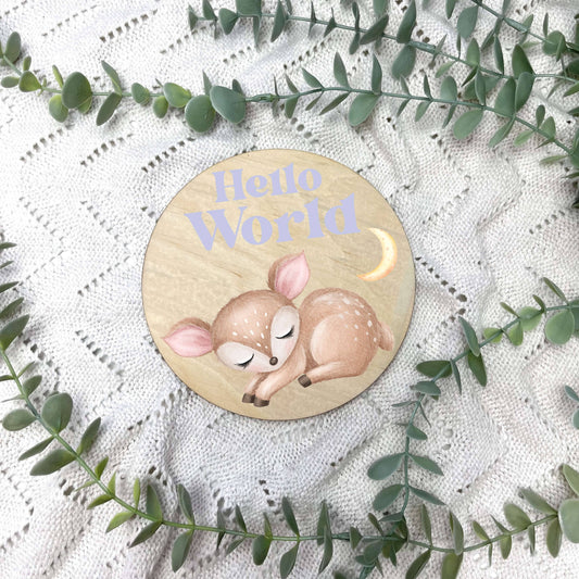 Hello World sign, baby announcement disc, sleeping animals, animal nursery, cute animals