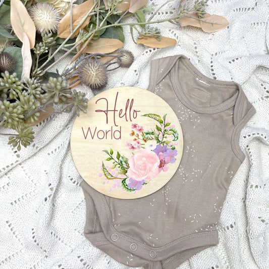 Hello World sign, baby announcement disc, pretty in pink floral set, floral nursery