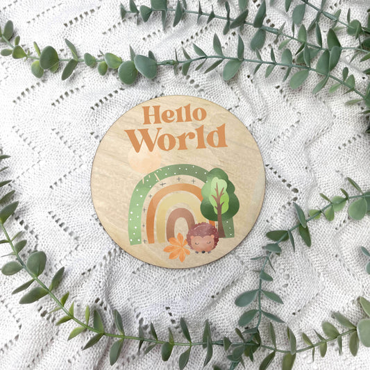 Hello World sign, baby announcement disc, woodland animals, animals nursery, kids nursery