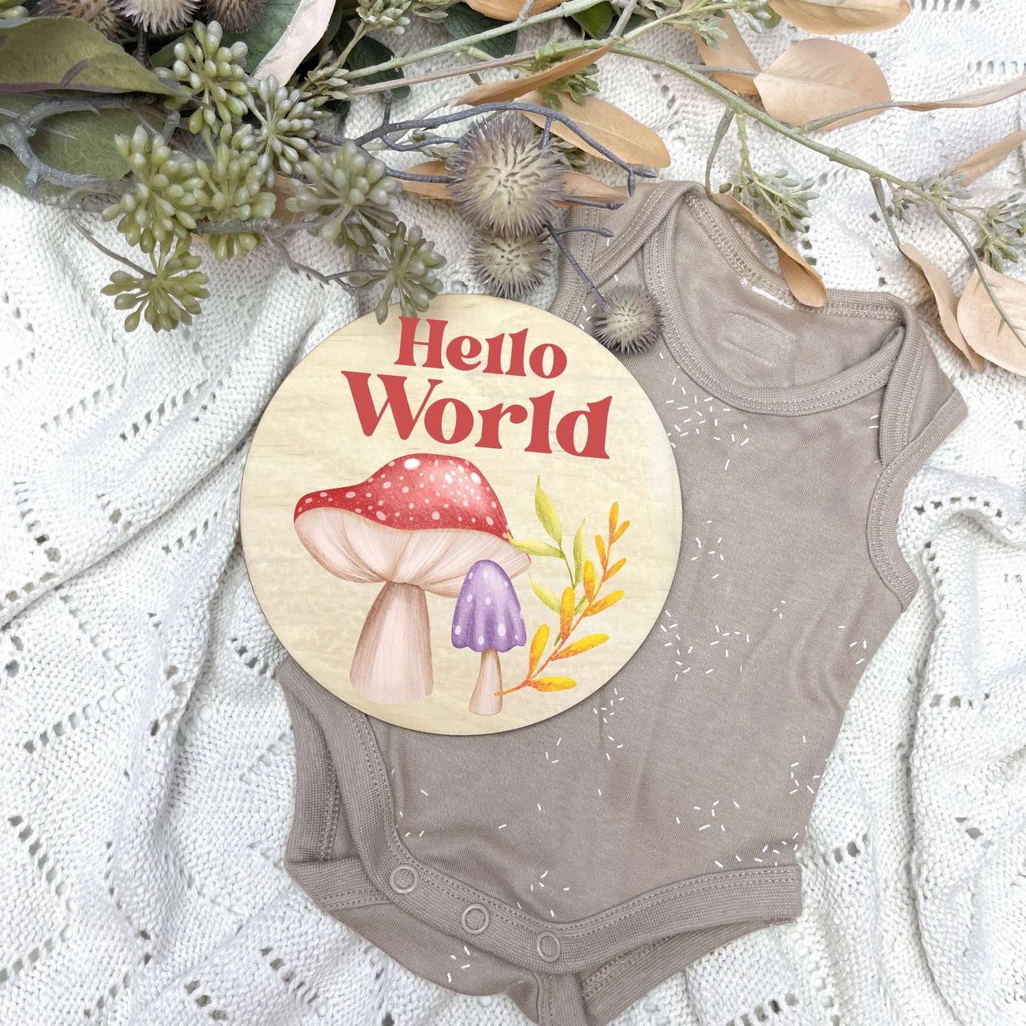 Hello World sign, baby announcement disc, Fairy theme, fairy garden, girl nursery