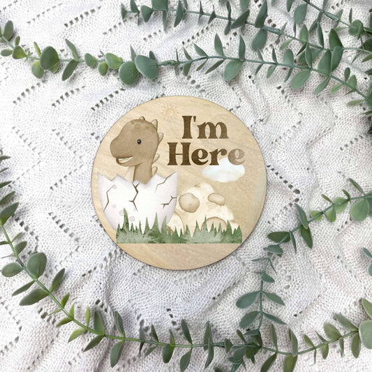 I'm here sign, baby announcement disc, Dinosaur nursery, jurassic nursery