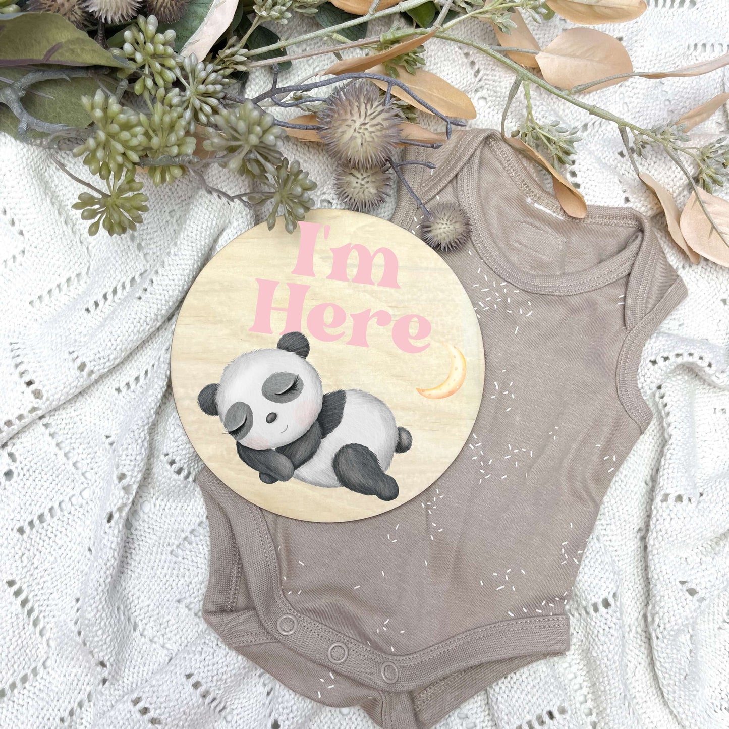 I'm here sign, baby announcement disc, sleeping animals, animal nursery, cute animals