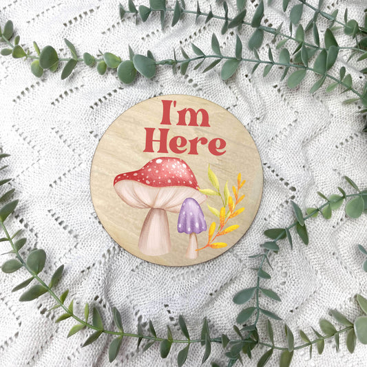 I'm here sign, baby announcement disc, Fairy theme, fairy garden, girl nursery