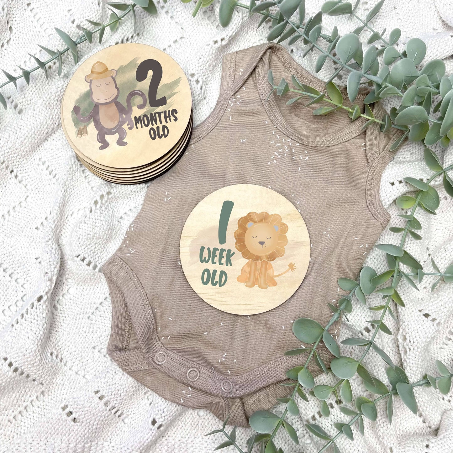 Safari nursery milestone discs, jungle milestone discs, jungle theme, Safari Theme