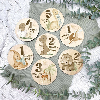 Jungle nursery milestone discs, Dinosaur nursery, jurassic nursery