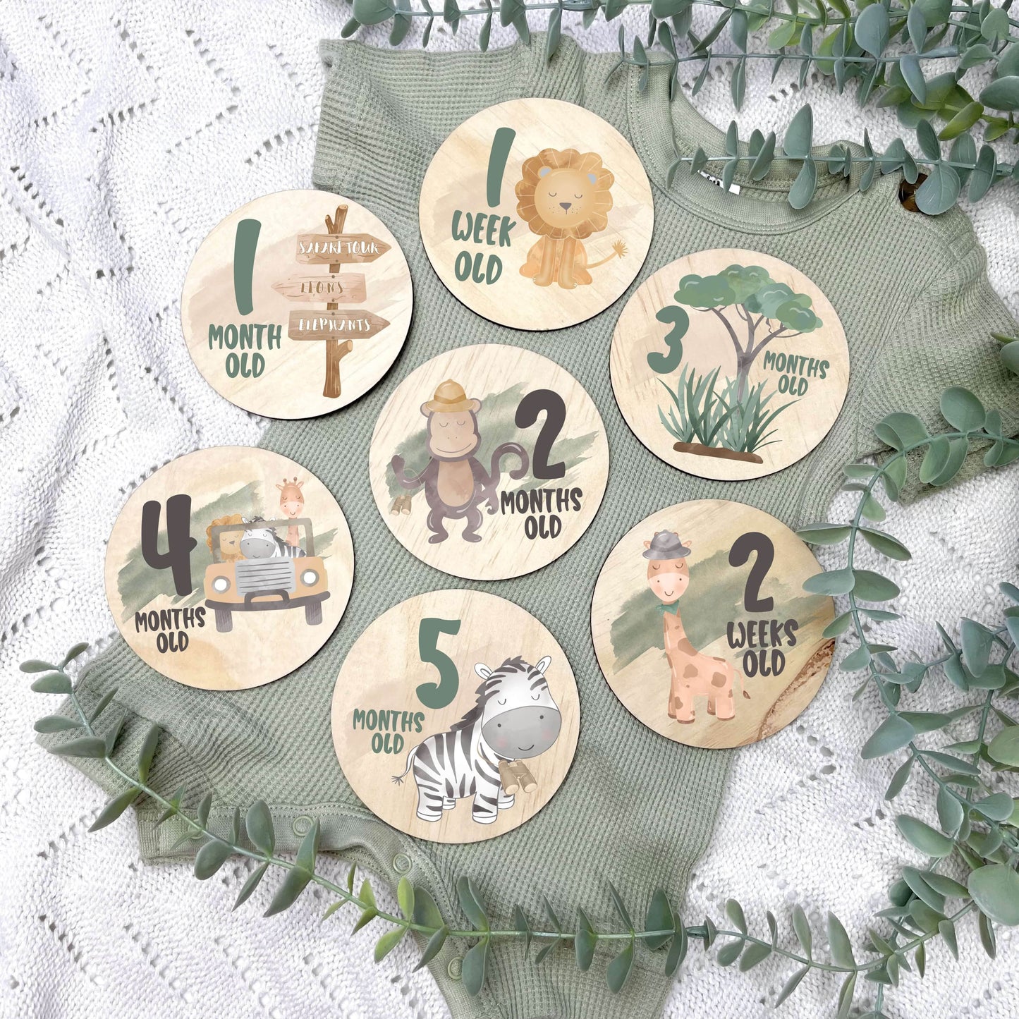 Safari nursery milestone discs, jungle milestone discs, jungle theme, Safari Theme